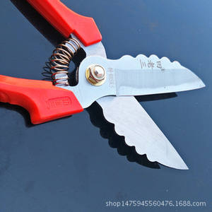 Ciseaux à ail Tian Lao San 5 pouces en acier inoxydable à tête droite, ciseaux de cuisine robustes pour couper les gousses, les racines et les tiges d'ail - Product Image 4