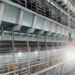 Tipo H Gallina <span class=keywords><strong>ponedora</strong></span> Alimentación automática y bebida Inmersión en caliente Galvanizado Pollo Jaula Capa Pollo Alimentador Equipo - Product Image 6