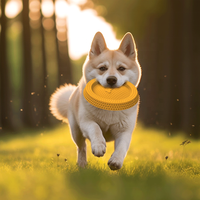 Disque volant interactif léger pour chien, jouet flottant pour l'eau, en caoutchouc souple aux couleurs vives