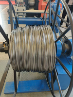 Laminoir à froid de déchets à fil plat Plaque HR Steel Scrap Edge Trimming Round Wire Drawing Rolling Mill Machine