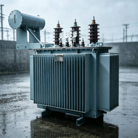 Transformateur de distribution triphasé immergé dans l'huile CE EAC ISO UL S11 315KVA 50/60Hz 6.3kV 10kV
