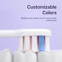 Brosse à dents électrique automatique rechargeable de haute qualité pour le nettoyage des dents, avec logo personnalisé, pour soins bucco-dentaires, OEM, vente en gros