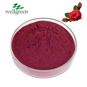 Wellgreen 100% 玫瑰花瓣提取物天然化妆品成分红色粉色粉末10: 1