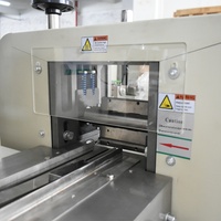 Machine à emballer de bonbons douces à DY-100E flux, de petite taille, résistante et douce, type d'oreiller