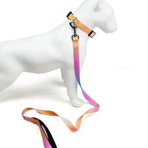 सामरिक कुत्ते प्रशिक्षण कॉलर और लीश सेट सेट एडजस्टेबल फैशन हैंडल बंजी नायलॉन धातु के साथ आसान चलने के लिए - Product Image 5