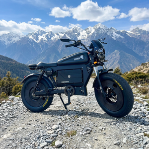 -SS10 Black With 60V50AH <b>Battery</b> Aluminum Frame Upgraded Air Suspension SS10 Original Manufacturer Free Cus - Product Image 1