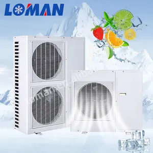 Unità di condensazione di LOMAN con la scatola del compressore del rotolo 3HP ha integrato l'unità di condensazione per l'unità di refrigerazione di stoccaggio della stanza fredda