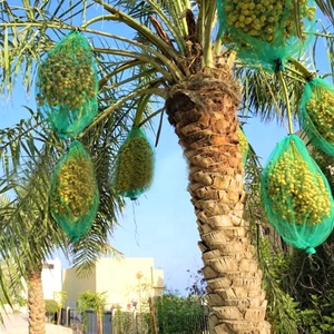 HENAN FEIJU Sản Xuất Và Phân Phối <span class=keywords><strong>Raschel</strong></span> Date Palm Harvest Lưới Túi Lưới Sợi Đơn PE - Product Image 2