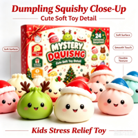 Calendrier de l'Avent 24 surprises en forme de ravioli, jouets sensoriels mignons à presser, collection de jouets anti-stress, boîte cadeau de compte à rebours des fêtes en résine époxy