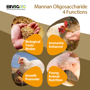 Fabrikant Levert Mannan Oligosacharide Mos Voor Diervoeders - Product Image 3
