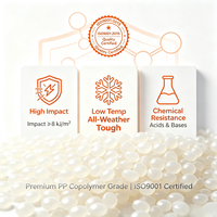 Granulés de copolymère PP, copolymère résistant aux chocs, granulés de polypropylène pour pièces automobiles et contenants alimentaires