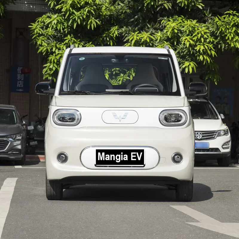 2024 New Electric Vehicle Wuling Hongguang Mini EV for High Speed Driving of Adult Electric Vehicles
