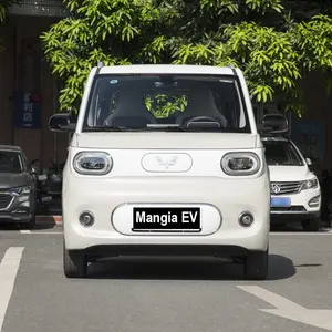 2024 nuevo vehículo eléctrico Wuling Hongguang Mini EV para conducción de vehículos eléctricos de alta velocidad para adultos