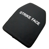 Équipement de protection, panneau porte-plaques tactique en PVC/PE, alumine, silicium, pour utilisation en extérieur