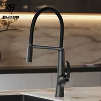 Robinet de cuisine à bec long en laiton, monté sur le pont, couleur gunmetal, poignée unique, un trou, extractible