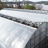 Serre de ventilation de lucarne de verrière d'usine de toit escamotable automatique pour la zone tropicale