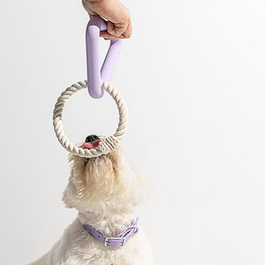 <span class=keywords><strong>Jouet</strong></span> à mâcher pour chien en caoutchouc dégradable et résistant aux déchirures en forme de <span class=keywords><strong>cactus</strong></span>, fournitures pour animaux de compagnie en gros - Product Image 3