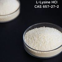 Youjian Vente en Gros Cas 657-27-2 L-Lysine HCL en Poudre Additif Alimentaire en Stock Acide Aminé de Qualité Supérieure