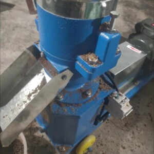 Macchina per la Produzione di Pellet Affondanti per Animali, per Maiali, Conigli, Polli, Anatre, Macchinari per la Lavorazione di Mangimi - Product Image 4