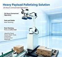 Robot de Paletización Colaborativo de Bajo Consumo Energético en Oferta, Robot para el Manejo Automático de Cajas de Cartón y Alimentos