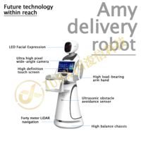 Робот-гуманоид Csjbot Amy: передовые технологии, глобальное ИИ-программируемое управление, мобильные роботы с LDS и SLAM-навигацией, автоматическая зарядка