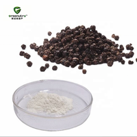 Zwarte peperzaadextract 95% Piperine poeder Natuurlijke bio- Beschikbaarheidverhoger Voedingssupplement Drum Gezondheidsvoeding Kwaliteit