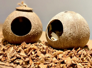 Casa para Pájaros de Vidrio Ecológica, Estilo Clásico, Tamaños Pequeños y Mini, Forma de Toca de Árbol, Varios Diseños Disponibles, Eco2go Vietnam - Product Image 4