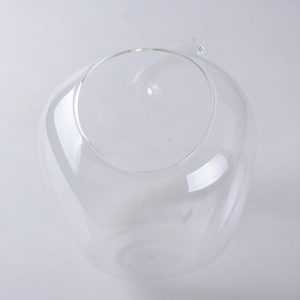 Hanging aria pianta vaso di vetro di apple - Product Image 6