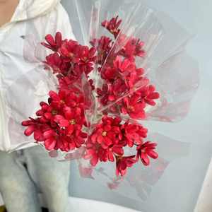 Fabricantes <span class=keywords><strong>de</strong></span> flores secas Venta al por mayor Semillas <span class=keywords><strong>de</strong></span> melón <span class=keywords><strong>de</strong></span> cáscara <span class=keywords><strong>de</strong></span> fruta Ramo hecho a mano Arreglo <span class=keywords><strong>de</strong></span> flores suaves Flor <span class=keywords><strong>de</strong></span> bricolaje - Product Image 4