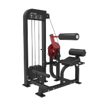 Barre de traction assistée / Barre de dips – Équipement de fitness en acier pour l'entraînement de la force du haut du corps et la progression des tractions