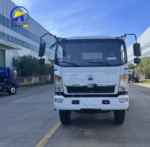 Китайский дизельный самосвал Howo 4x2, 6 колес, 10 тонн, для горнодобывающей промышленности, продажа в Гане - Product Image 3