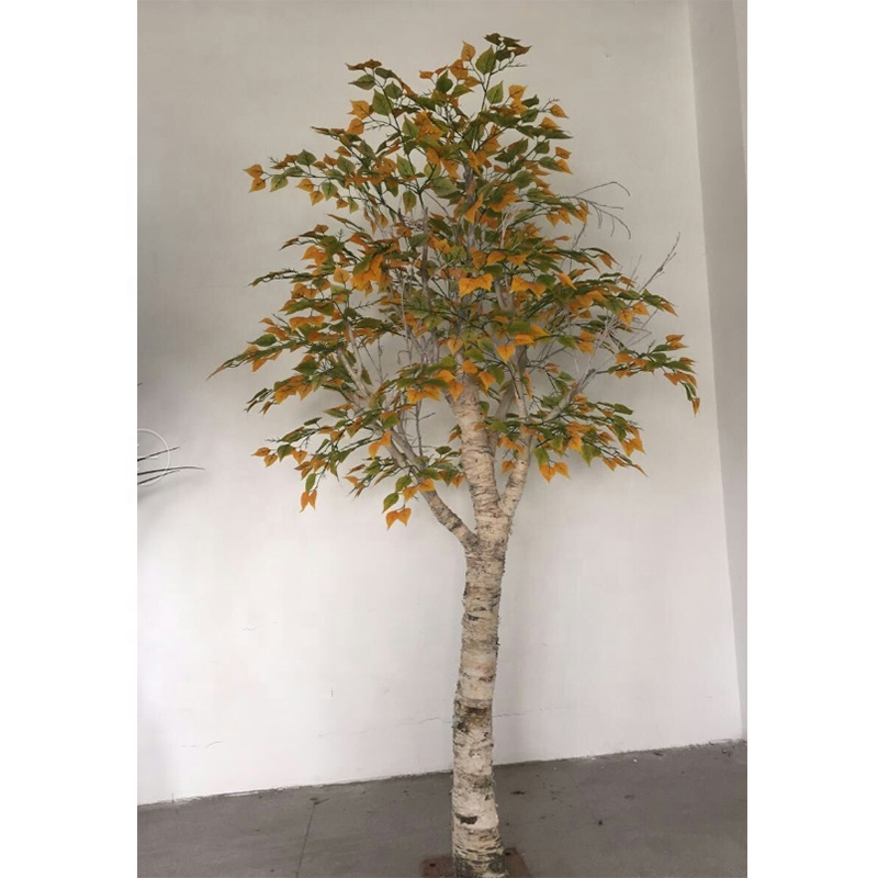 dracena lemon surprise Lemon Surprise Dracaena main image 1