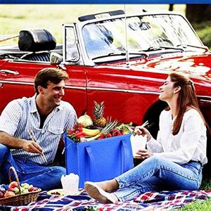 Adult Leak-Proof Polyester Handle Shopping Bags Insulated Lunch Bags for Daily Life Custom Accept Design Cooler Bags for Works - Product Image 6