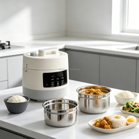Mini-cuiseur à pression électrique 2L compact multifonction pour la maison