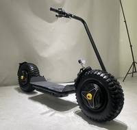 Scooter Eléctrico Citycoco 2026, 2000W/3000W, GPS, Plegable, Resistente al Agua, Batería de Litio, Autonomía de 60-100 km, Neumáticos Anchos, Estilo Chopper