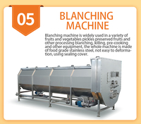 Machine de séchage industrielle d'aliments pour la transformation des fruits et légumes pour la déshydratation des chips de carotte et de mangue