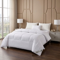 Housse de couette toutes saisons pour lit Queen/King, insert de couette King/Full Size, édredons et couvertures d'hiver moelleux de haute qualité pour l'hiver extrême