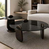 Table basse moderne haut de gamme avec plateau en verre miroir et cadre en bois, design durable, écologique, idéale pour les petits appartements, luxe et confort.