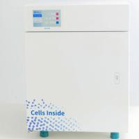 Incubateur à trois gaz CO2 12L/30L avec contrôle de l'O2 et écran tactile de 4 pouces pour la culture cellulaire en laboratoire