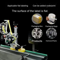 Étiqueteuse plate de sac en plastique entièrement automatique étiqueteuse de surface de boîte de couleur d'autocollant auto-adhésif de boîte de papier d'aluminium
