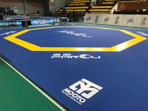 <span class=keywords><strong>Tapis</strong></span> de lutte pliable portable sur mesure en XPE épais avec revêtement en cuir PVC, <span class=keywords><strong>tapis</strong></span> de lutte approuvé pour le judo - Product Image 5