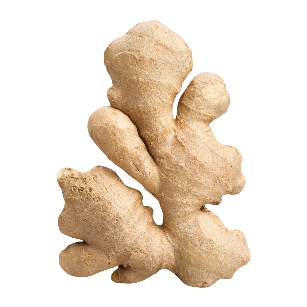air-dried ginger Market Price Per Ton Wholesale Ginger Buyers Fresh Ginger for Export
