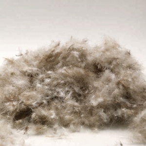 Almohadas de Plumón de Ganso Gris, Tamaño Queen y King, Ultraligeras, Lavadas, Certificadas por OEKO-TEX, 90/10, 90.3% de Contenido, Certificadas por EN12934, Marca WX - Product Image 1