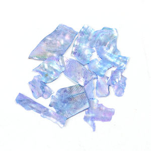 Conchas de Abulón Irregulares Mixtas de Alta Calidad con Descuento, Purpurina para Decoración de Uñas, Rebanadas de Concha Marina Natural, Adornos para Uñas, Polvo Acrílico - Product Image 5