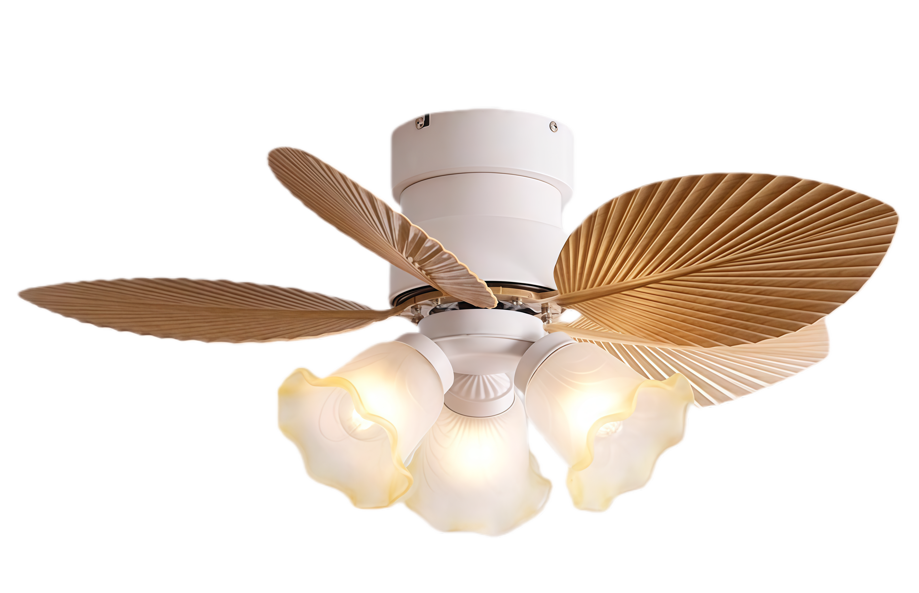 Grain de bois original