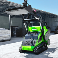 Nueva Llegada: Minicargadora Compacta de Orugas de Goma Euro 5 de 25hp y 30hp para Jardinería