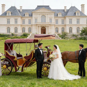 Chariot à chevaux familial, spacieux et durable, parfait pour les sorties, les pique-niques et les aventures en famille en plein air - Product Image 3