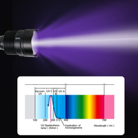 Lampe torche LED UV à lumière noire haute puissance 45W 365nm, géocaching, minéraux fluorescents, lampe LED rechargeable