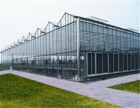 Systèmes de culture hydroponique de tomates, serre multi-spans en verre trempé pour légumes