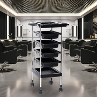 Chariot de coloration capillaire pour salon de coiffure avec 4 tiroirs en plastique à roulettes – Qualité supérieure pour barbier et styliste